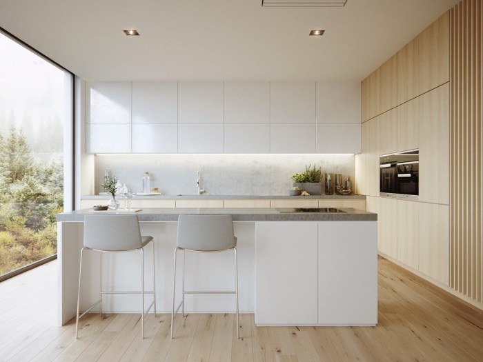 Minimalist kitchens kitchen white wood design interior inspiration ideas sleek super get visualizer studio stylish